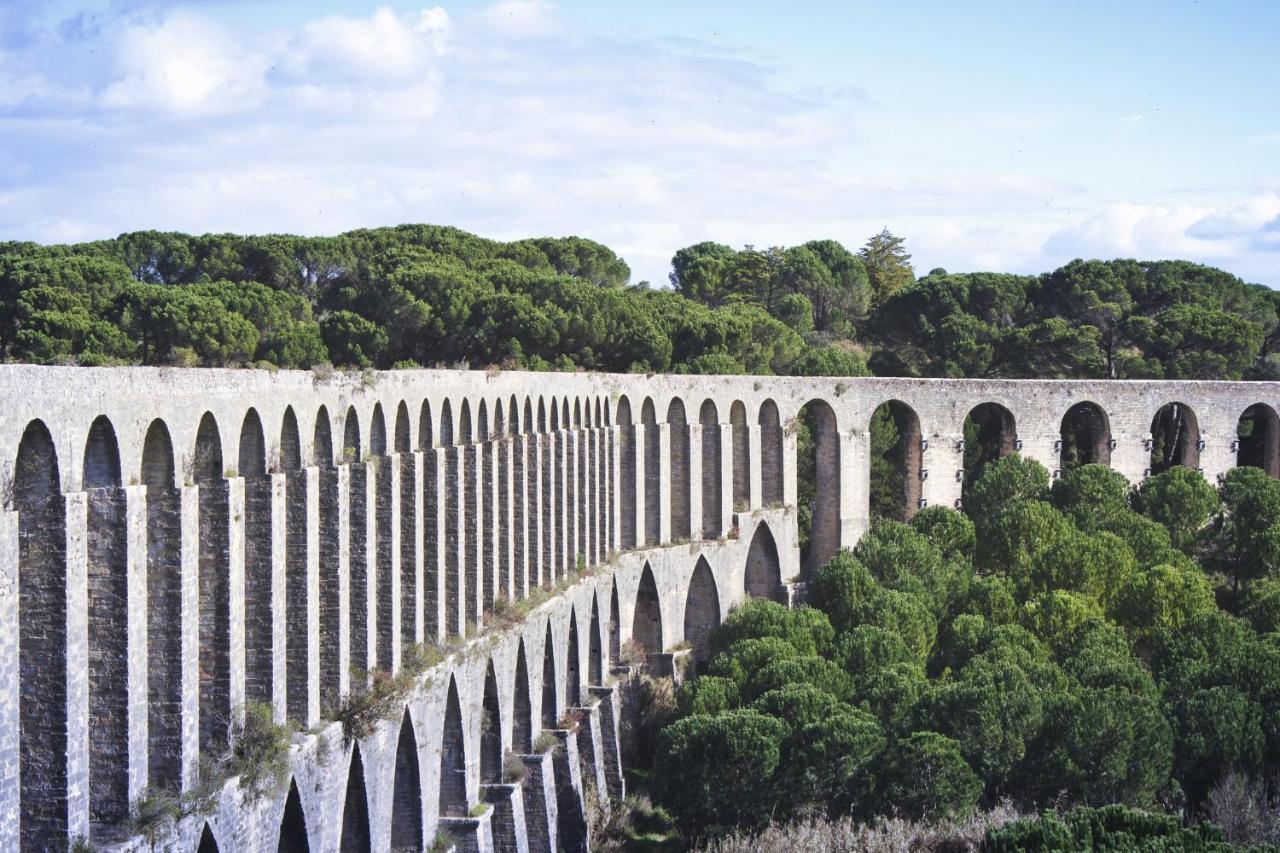 Tomarhousing - Style Tomar